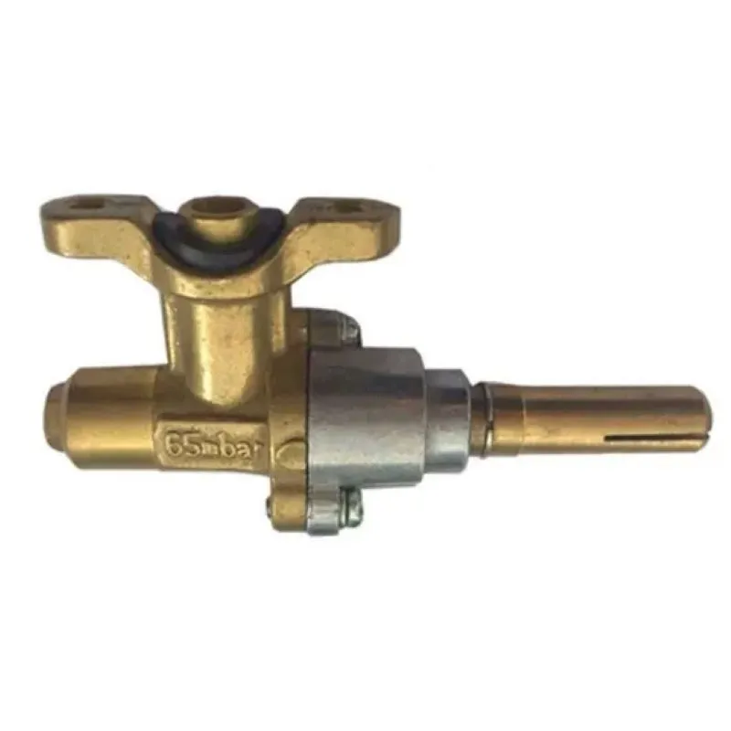 Gas Stove Control Valve